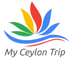 My Ceylon Trip